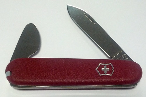 IMG_20140717_211507_500x333